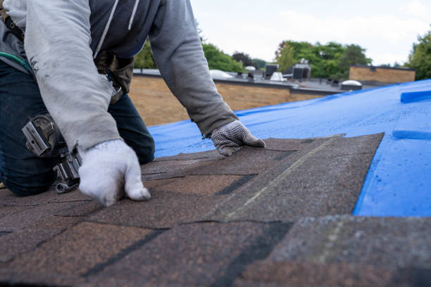 Best Commercial Roofing Services  in Braidwood, IL