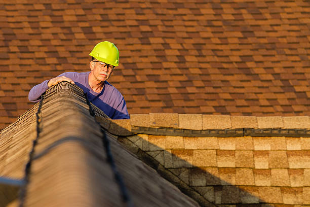 Best Roof Replacement Cost  in Braidwood, IL