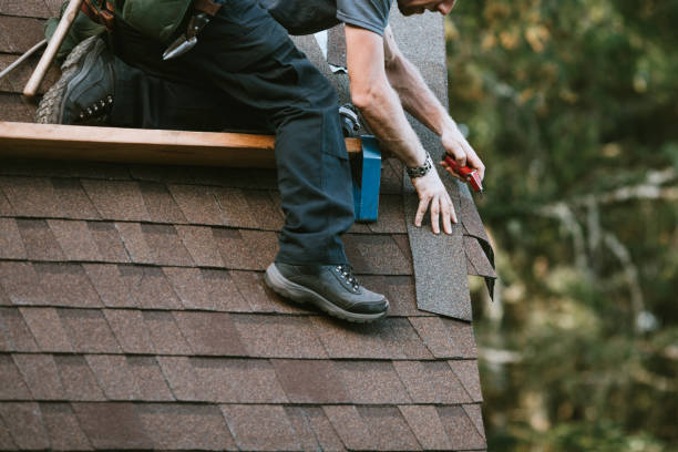 Best Roofing Contractor Near Me  in Braidwood, IL